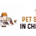 Top 10 Pet Shops in Chennai